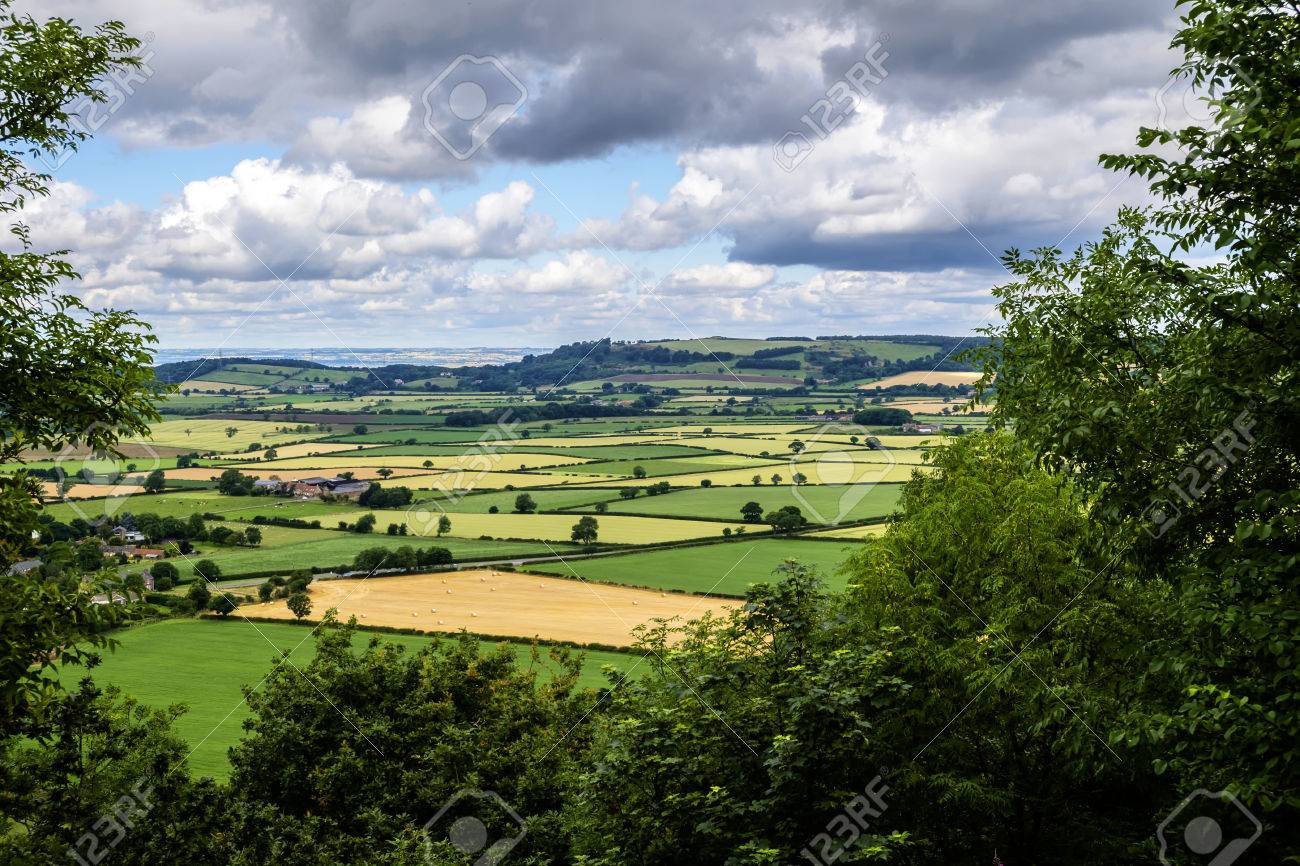 North Yorkshire, England - landscape of typical Yorkshire countryside through a frame of trees with patchwork quilt effect fields of green and gold under a cloudy sky